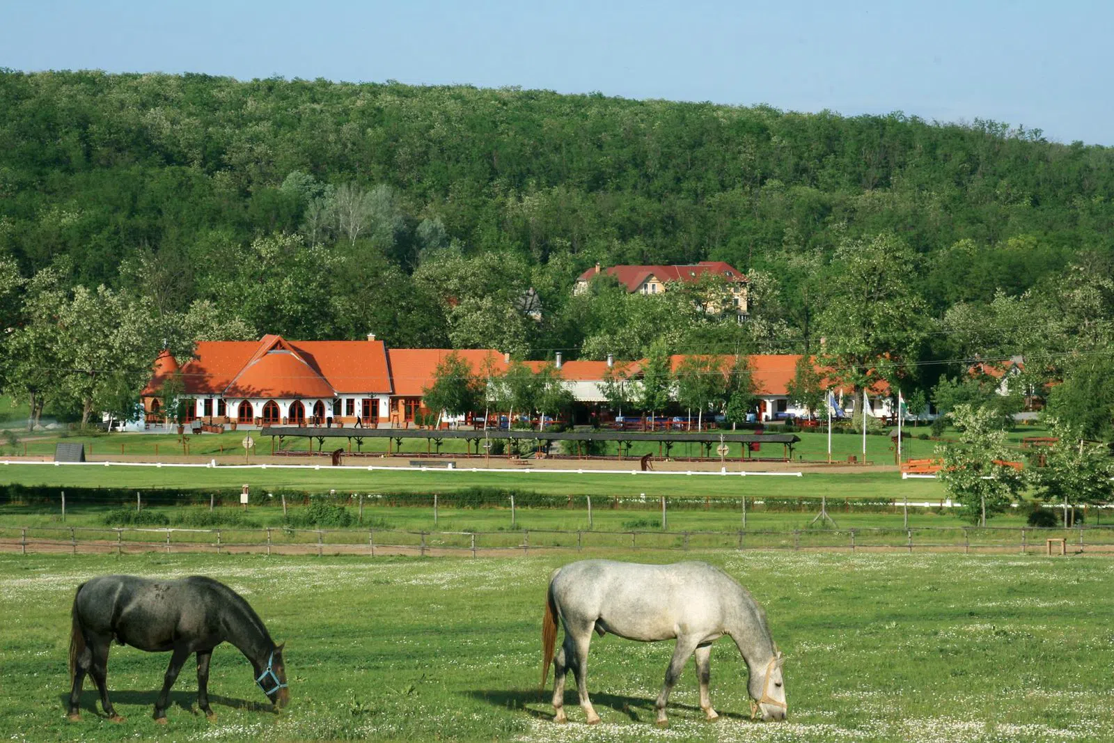 Lázár Paardenpark (Mythos Resort Domonyvölgy), Boedapest