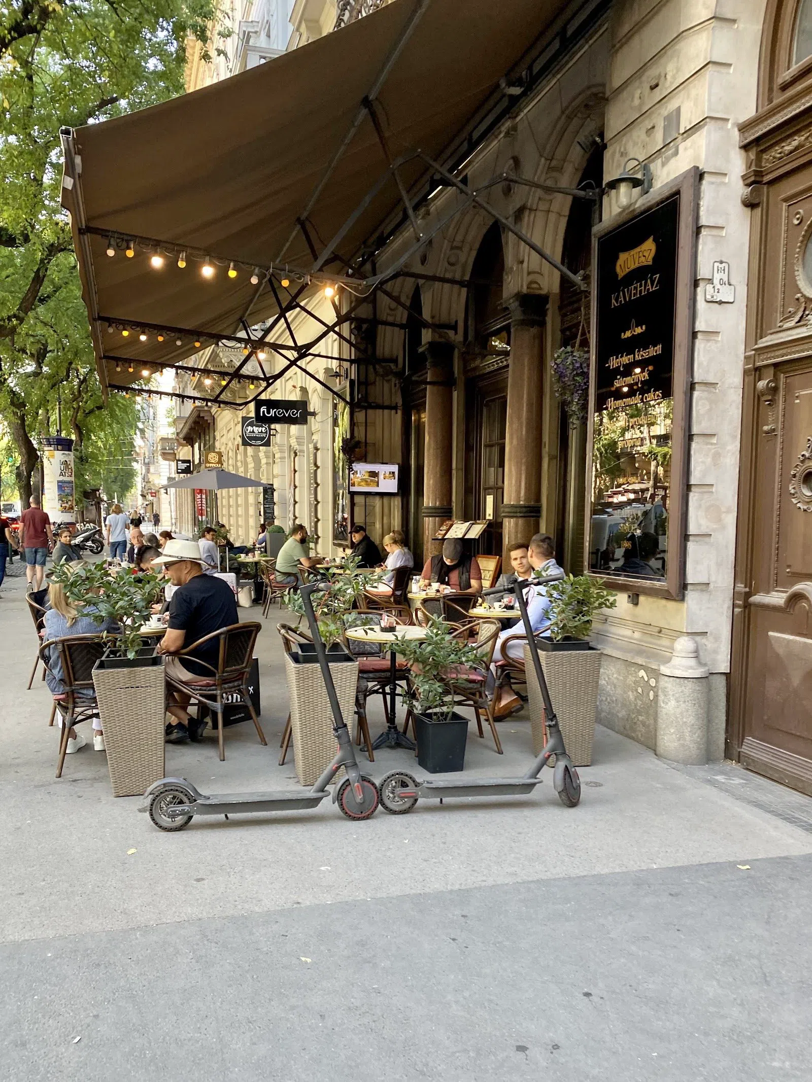 Művész Kávéház, Budapest